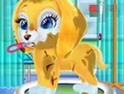 تربية الحيوانات الأليفة في المنزل