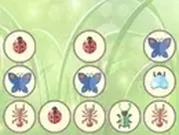 تطابق الحشرات