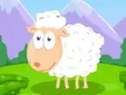 تربية الخراف